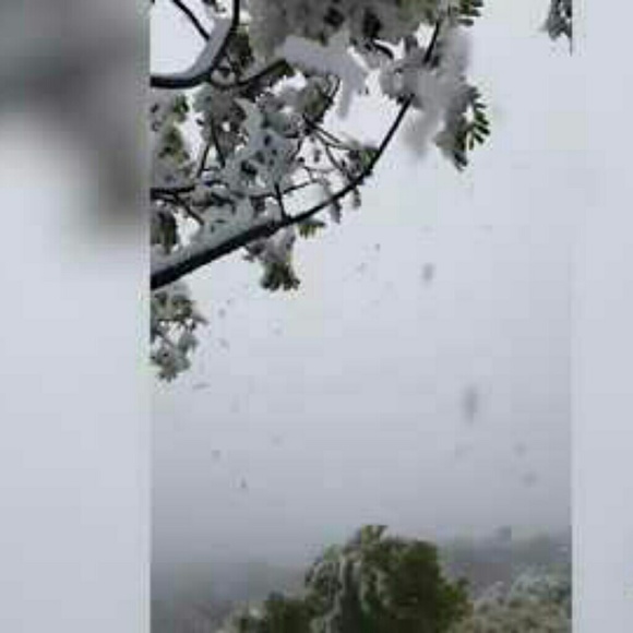 Meet your Posher, Shelly - Picture 4 of 4